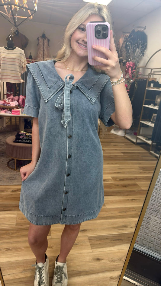 The Little Denim Dress
