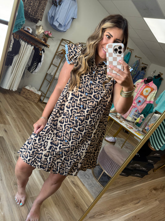Leopard Blue Trim Dress